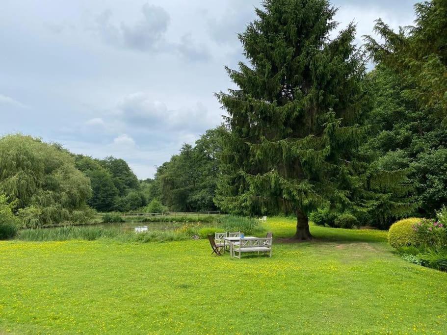 Halfmoon Lodge @ Knights Hole Wheelchair Access Cranbrook Eksteriør billede