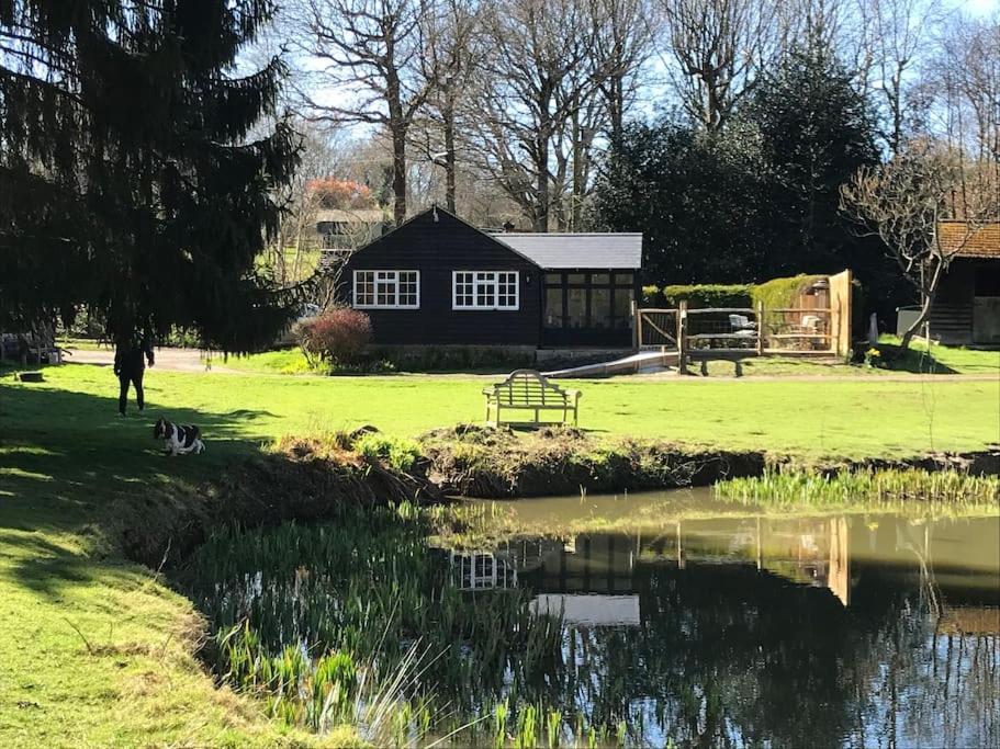 Halfmoon Lodge @ Knights Hole Wheelchair Access Cranbrook Eksteriør billede